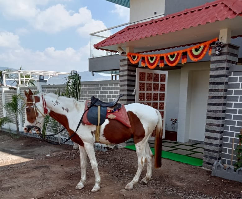 Horse Ridding Activity near Dhom Dam, Wai Nakshatra Resort