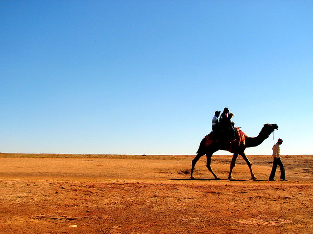 Camel Ride Activity near Dhom Dam, Wai Nakshatra Resort